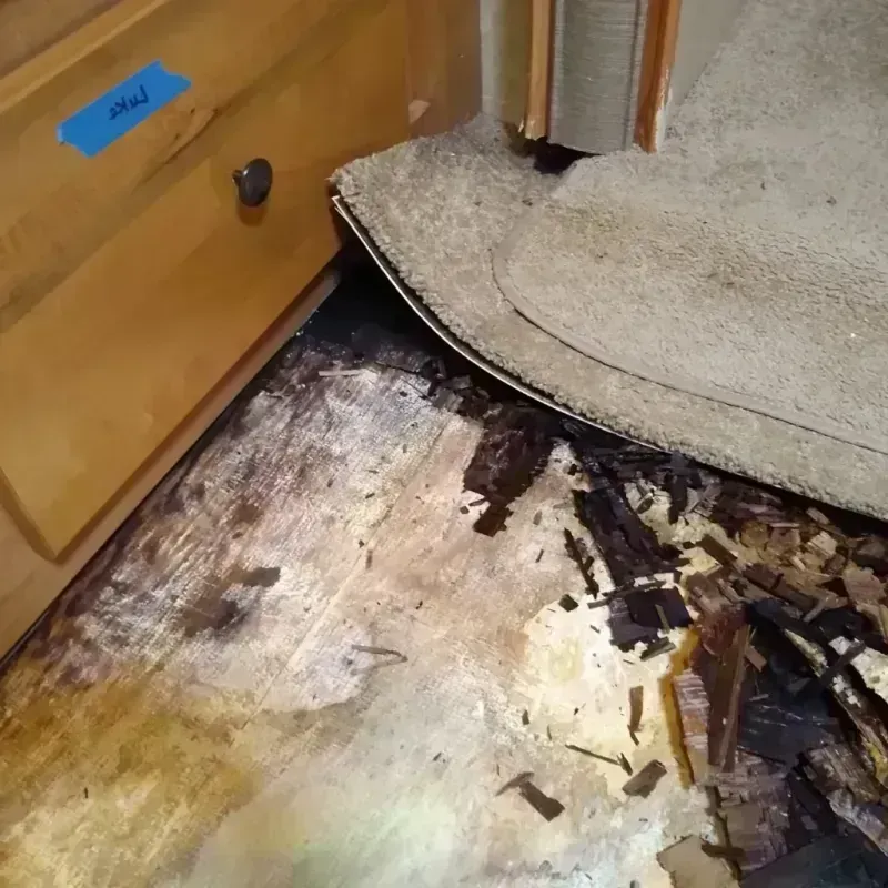 Wood Floor Water Damage in Oakland, IA